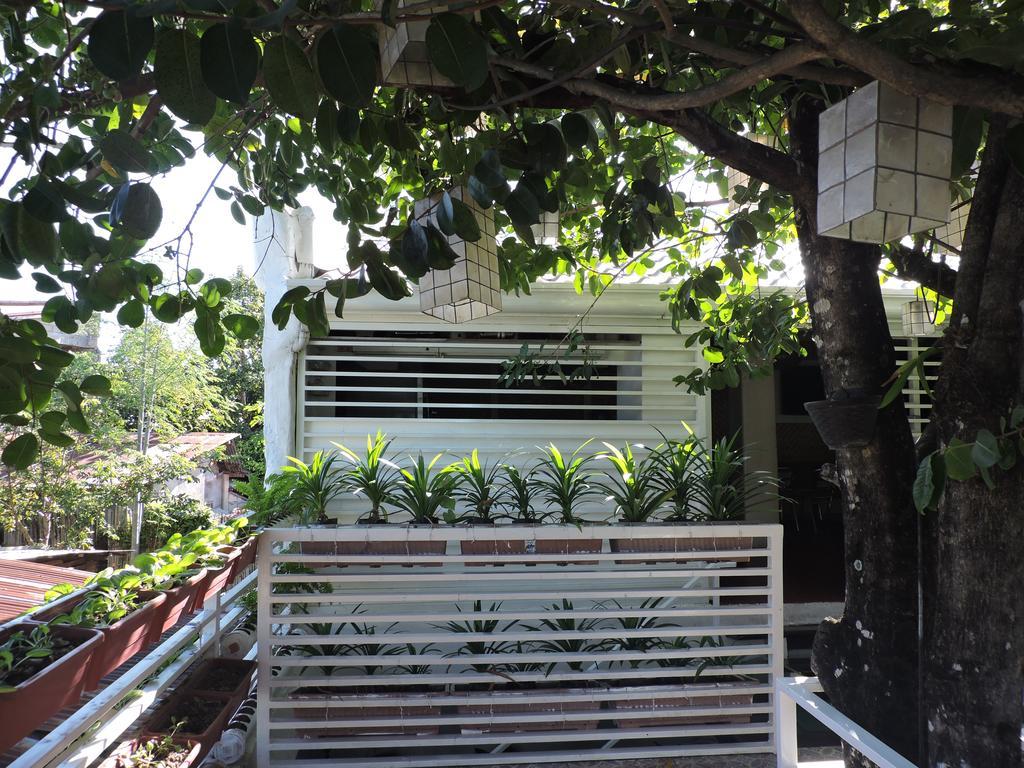 Orange Mangrove Pension House By Sms Hospitality Puerto Princesa Eksteriør billede