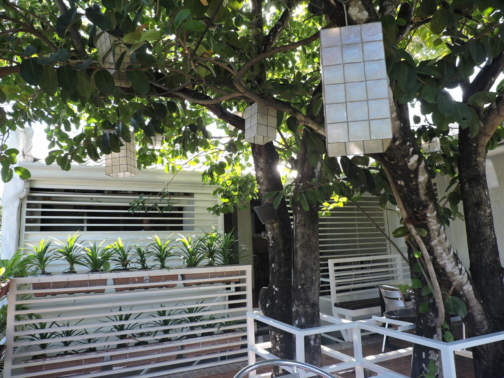 Orange Mangrove Pension House By Sms Hospitality Puerto Princesa Eksteriør billede